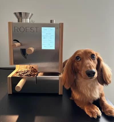 Our ROEST sample roaster at home, with Glizzy supervising